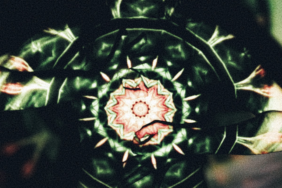 Krautrock